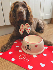 Personalised Love Heart Slanted Dog Bowl and Mat Set