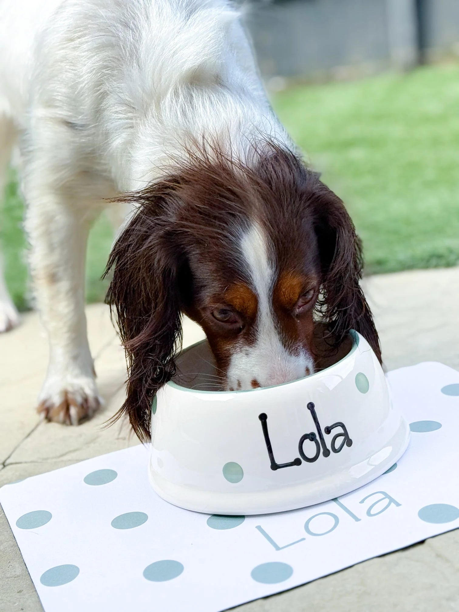 Personalised Polka Dot Confetti Slanted Dog Bowl and Mat Set