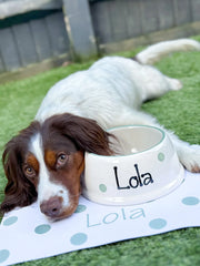 Personalised Polka Dot Confetti Slanted Dog Bowl and Mat Set