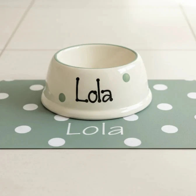 Personalised Polka Dot Slanted Dog Bowl and Mat Set