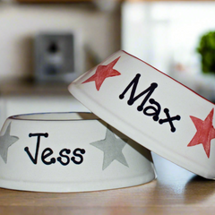 Two ceramic pet bowls with names 'Max' and 'Jess' on a wooden surface.