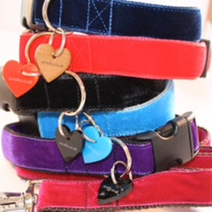 Plain Velvet Designer Dog Collars and Leads