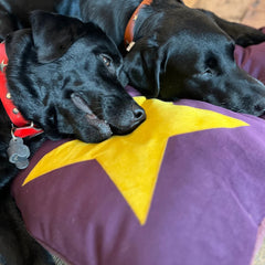 Plum Star Dog Bed