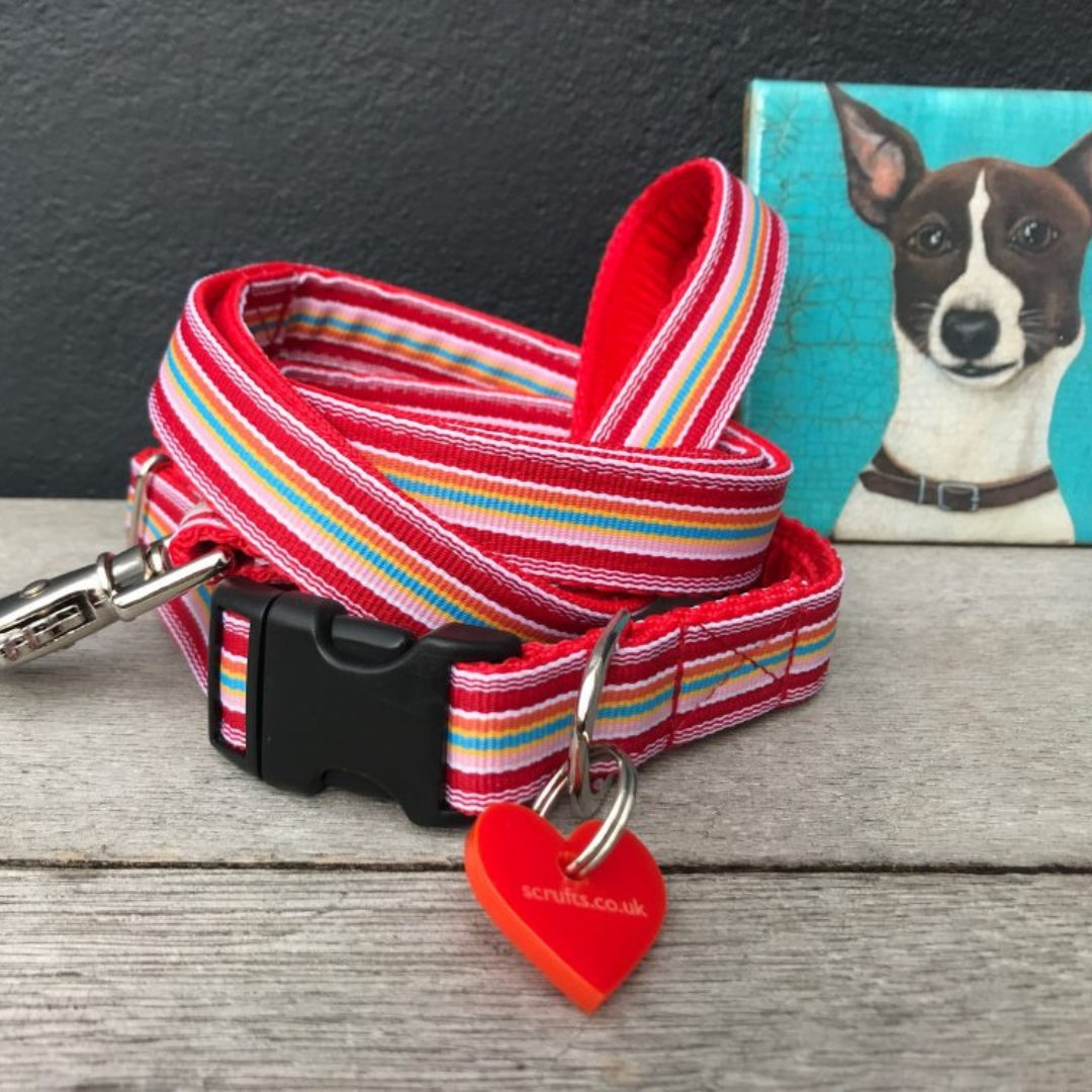 Raspberry Ripple Dog Collar and Lead Set