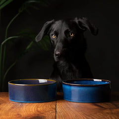 Reactive Glaze 2 Piece Dog Food & Water Bowl Set - Midnight Blue