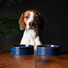 Reactive Glaze 2 Piece Dog Food & Water Bowl Set - Midnight Blue