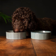 Reactive Glaze 2 Piece Dog Food & Water Bowl Set - Pinstripe Grey