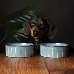 Reactive Glaze 2 Piece Dog Food & Water Bowl Set - Pinstripe Grey