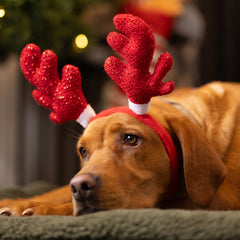 Red Sparkle Antlers Headband by House of Paws