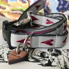 Rhubi Designer Dog Collar And Lead Set