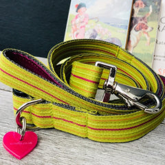 Roobarb Striped Dog Collar and Lead Set
