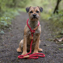Rosehip Rope Dog Lead by Ruff And Tumble