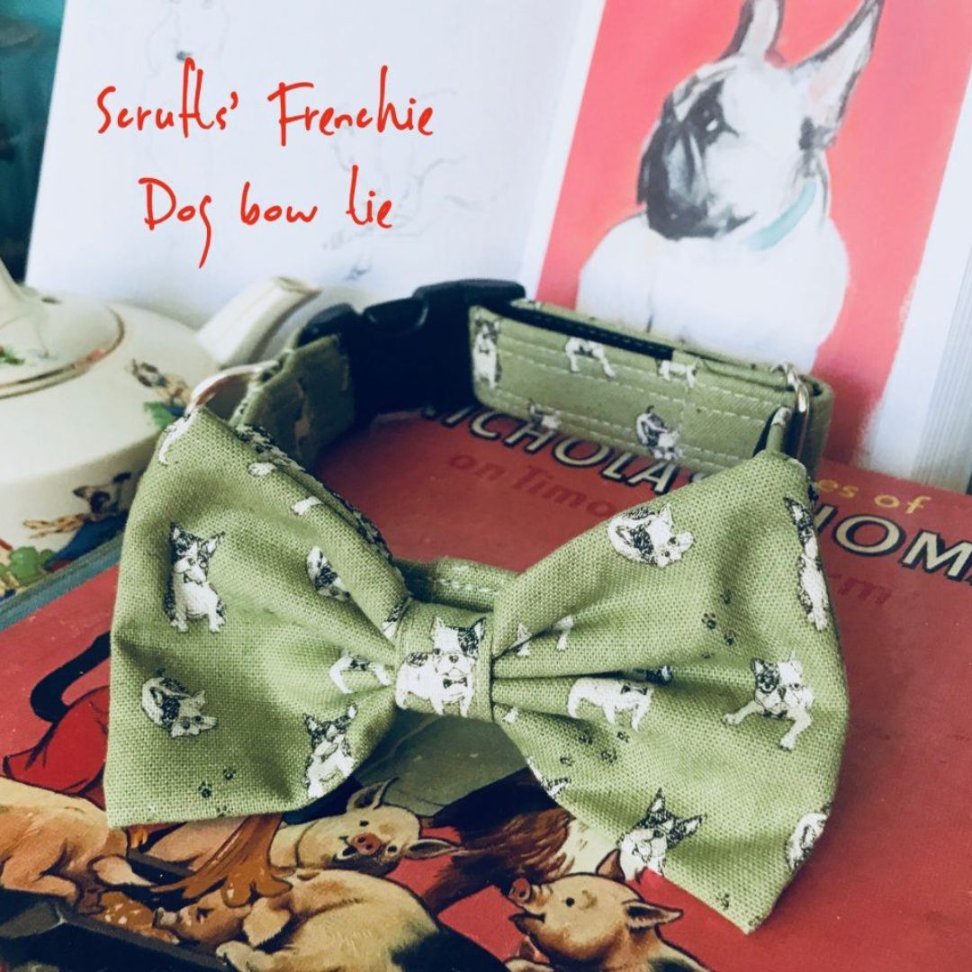 Sage Green Frenchie Bow Tie Designer Dog Collar