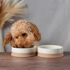 Scandi 2 Piece Non Tip Pet Food & Water Bowl - Cream