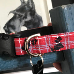 Scottish Terrier/Scottie Designer Dog Collar