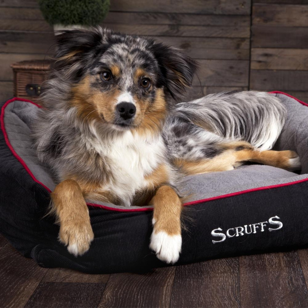 Scruffs Thermal Box Dog Bed Black & Grey