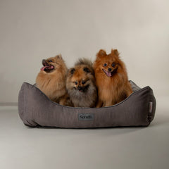 Scruffs Thermal Box Dog Bed Grey
