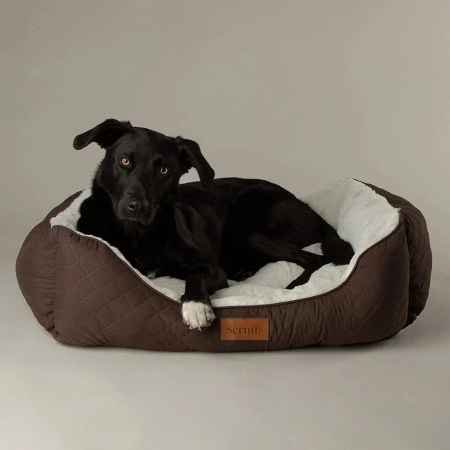 Scruffs Wilton Box Dog Bed Chocolate Brown