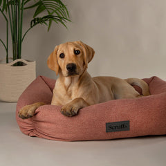 Seattle Box Dog Bed - Coral Pink Scruffs