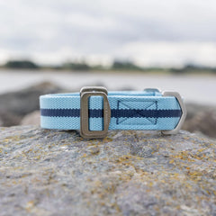 All-Terrain Canvas Dog Collar - Sky Blue / Navy