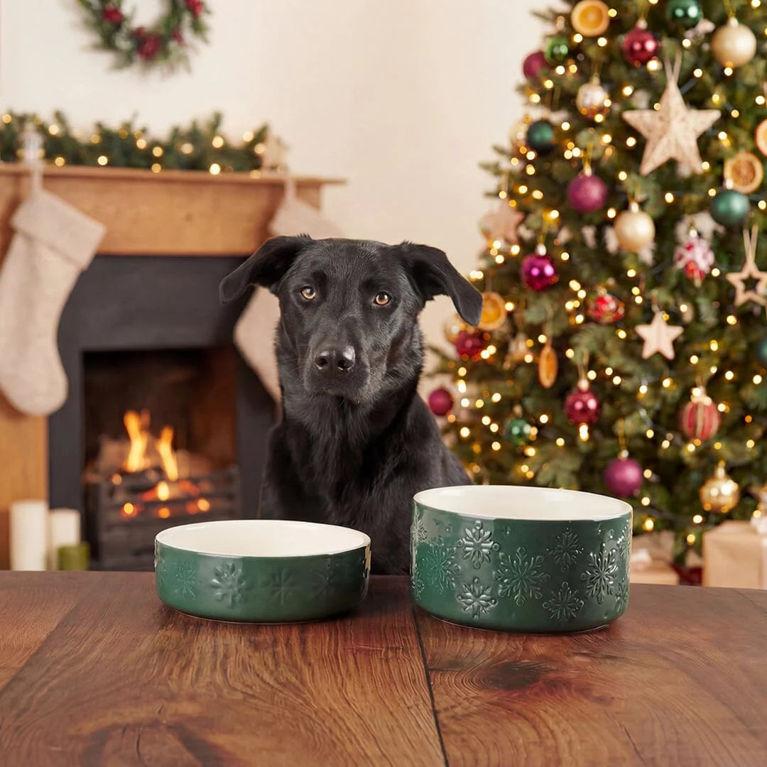 Snow Bowl Food & Drink Bowl Gift Set - Green