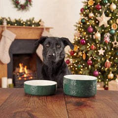 Snow Bowl Food & Drink Bowl Gift Set - Green