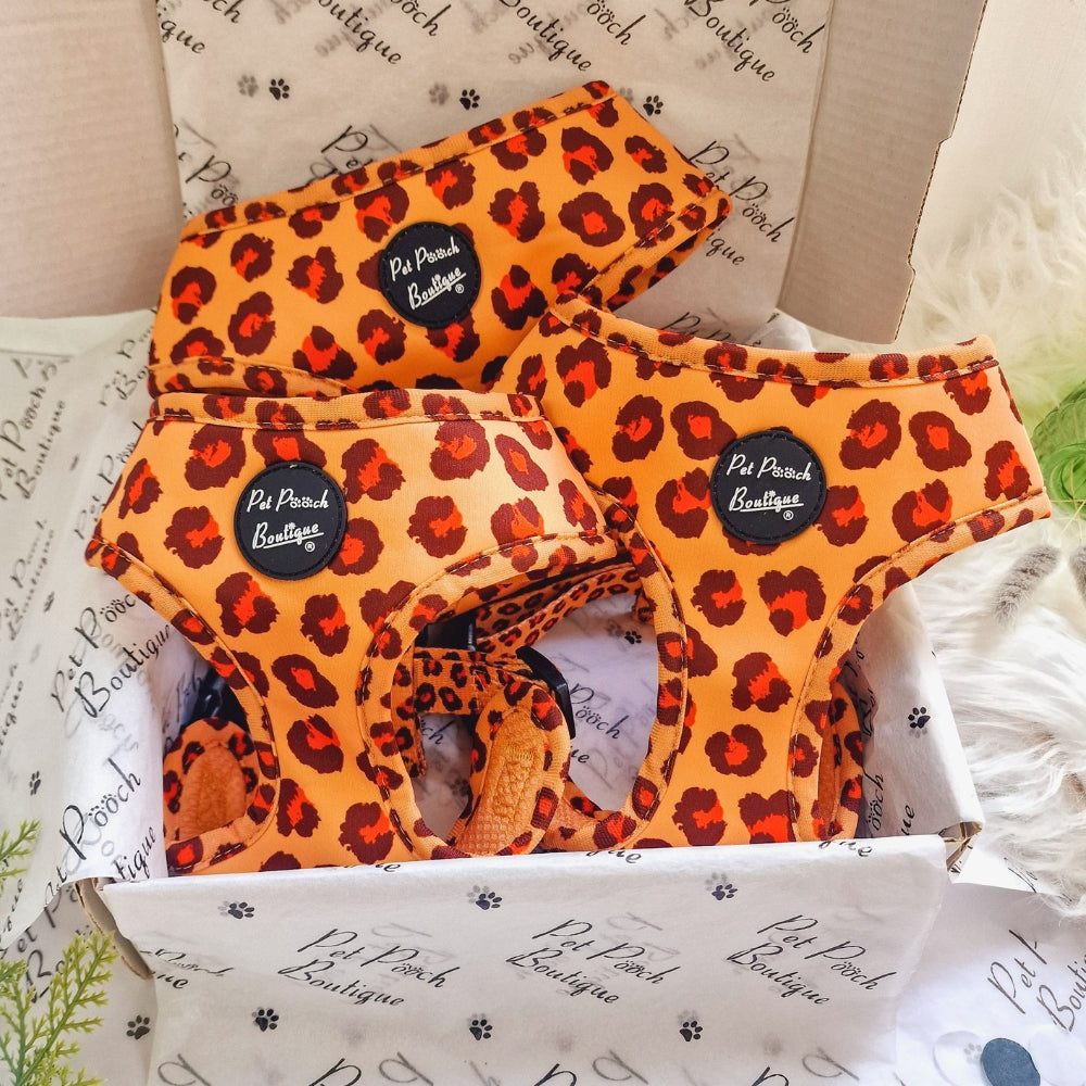 Spiced Honey Leopard Dog Harness