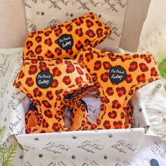 Spiced Honey Leopard Dog Harness