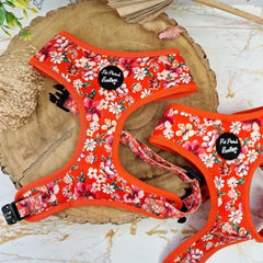 Sweet Marmalade Blossom Floral Dog Harness