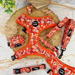 Sweet Marmalade Blossom Floral Dog Harness