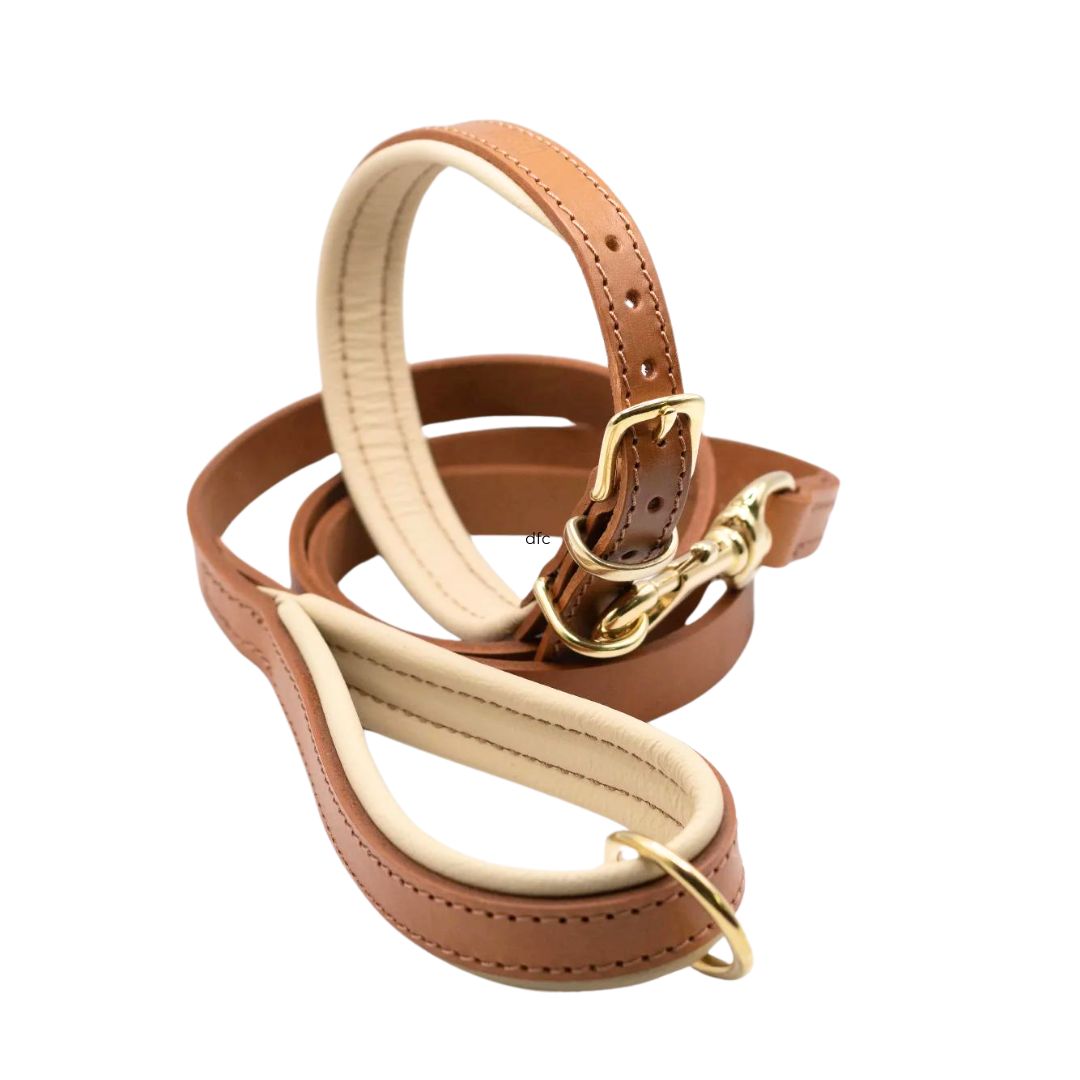 Tan & Cream Luxury Padded Leather Dog Collar and Lead Set by Dogs & Horses