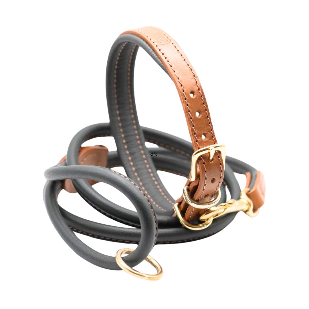 Tan & Racing Green Luxury Padded Leather Dog Collar and Rolled Lead Set by Dogs & Horses