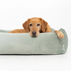Velvet Burnham Bolster Dog Bed - Pistachio