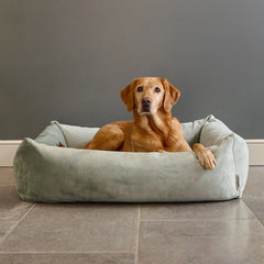 Velvet Burnham Bolster Dog Bed - Pistachio