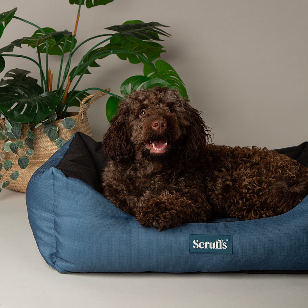 Water Resistant Expedition Box Bed - Atlantic Blue