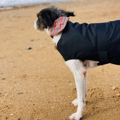 Waterproof Dog Coats With Reflective Star