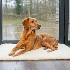 Wool Fleece Dog Bed Topper