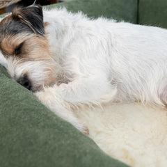 Wool Fleece Dog Bed Topper