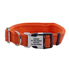 Personalised Activity Dog Collar Orange