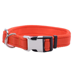 Personalised Activity Dog Collar Orange