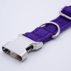 Personalised Activity Dog Collar Purple