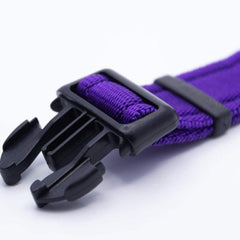 Personalised Activity Dog Collar Purple