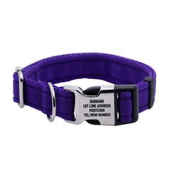 Personalised Activity Dog Collar Purple