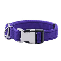 Personalised Activity Dog Collar Purple