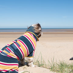 Ruff And Tumble Dog Drying Coat Beach Stripe