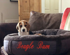 Personalised Slate Grey Fleece Donut Dog Bed