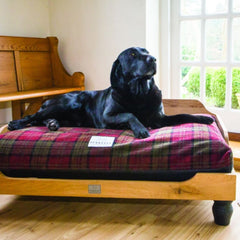 Berkeley Raised Wooden Dog Beds Red Tartan