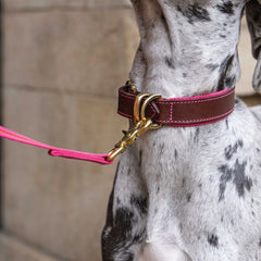 Blakeney Canvas Leather Collar - Fuchsia