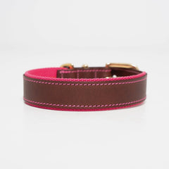 Blakeney Canvas Leather Collar - Fuchsia