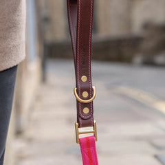 Blakeney Clip Lead - Fuchsia 